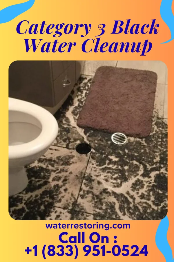 Category 3 Black Water Cleanup in Oxford, MI